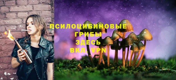 спайс Верхний Тагил